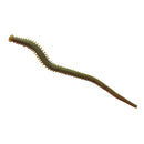 Berkley Gulp! Alive Nereis Ragworm 6'' Camo