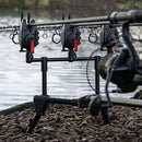 Avid Lok Down Low pod