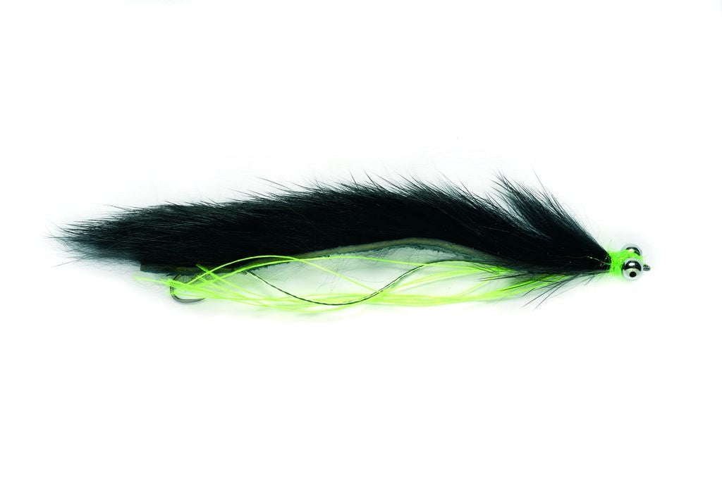 Attractor Flies