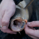 Avid Carp Armorok Hooks Wide Gape