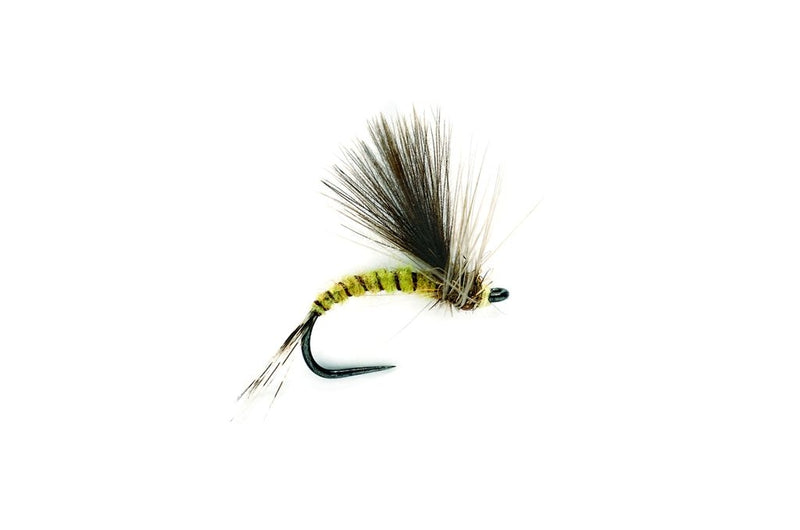 Fulling Mill CdC Olive Barbless