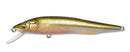 MEGABASS VISION Q-GO PM OCHI AYU