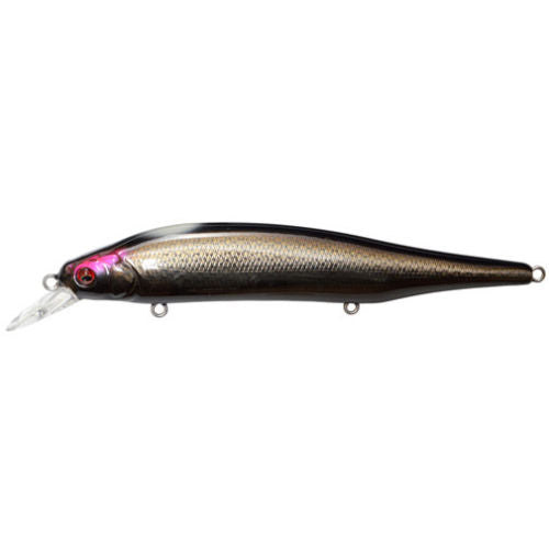 Megabass ITO Shiner MG Secret Shadow