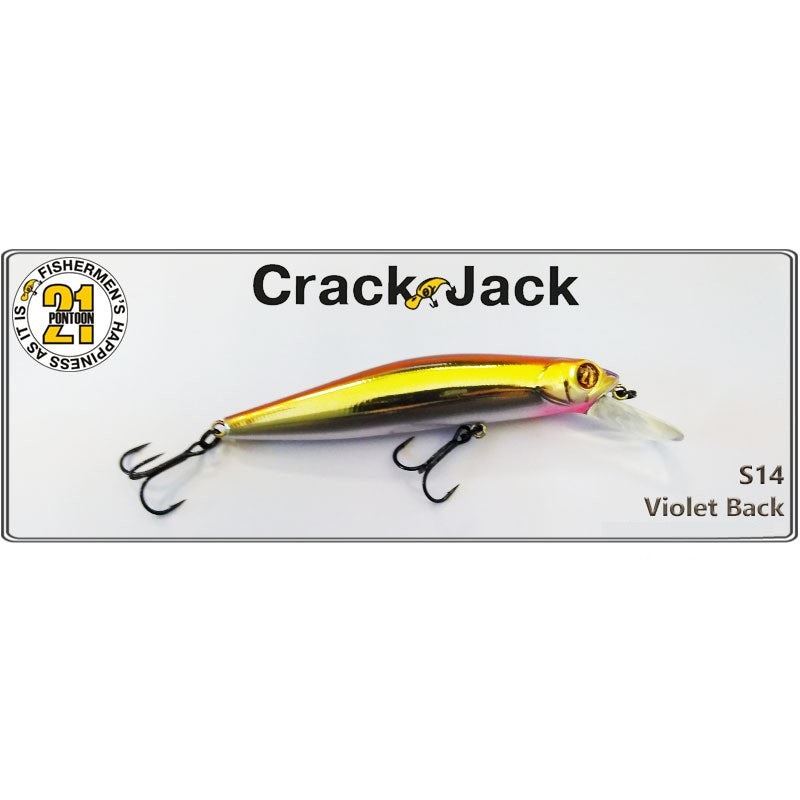 Pontoon 21 Crack Jack 98SP-MR S14