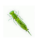Fanatik Larva 2inch col.001