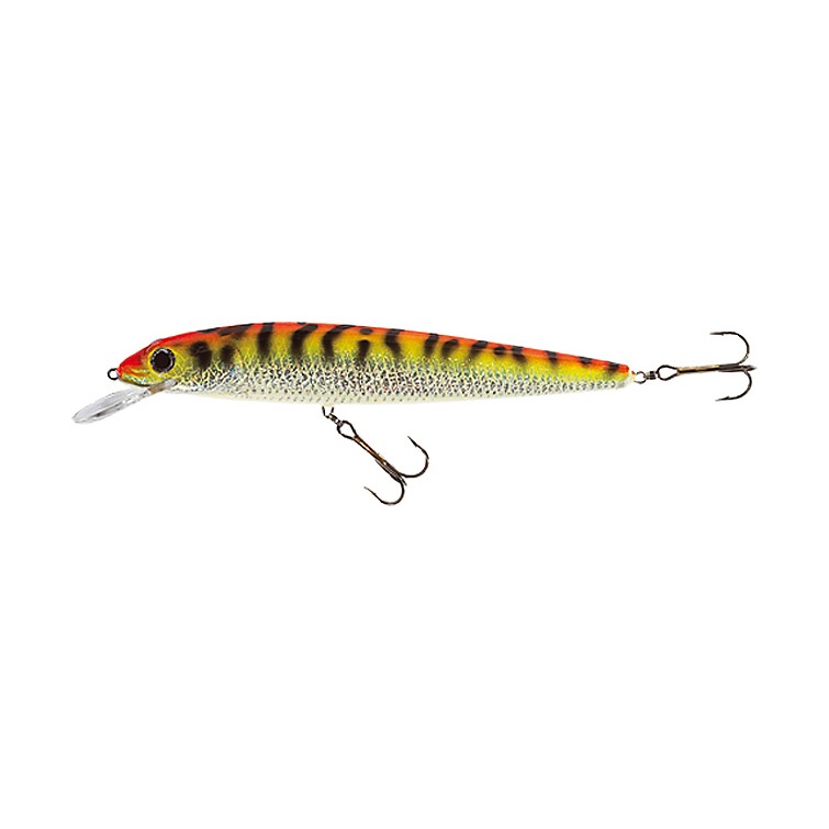 JAXON HOLO SELECT FISH MAX LURES 25,0cm / F / GFT