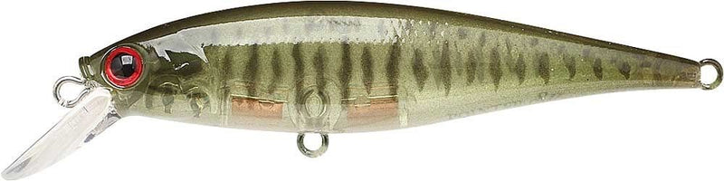 LUCKY CRAFT POINTER 78SP Small Mouth Bass