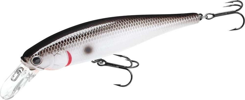 LUCKY CRAFT POINTER 100SP Or Tennessee Shad