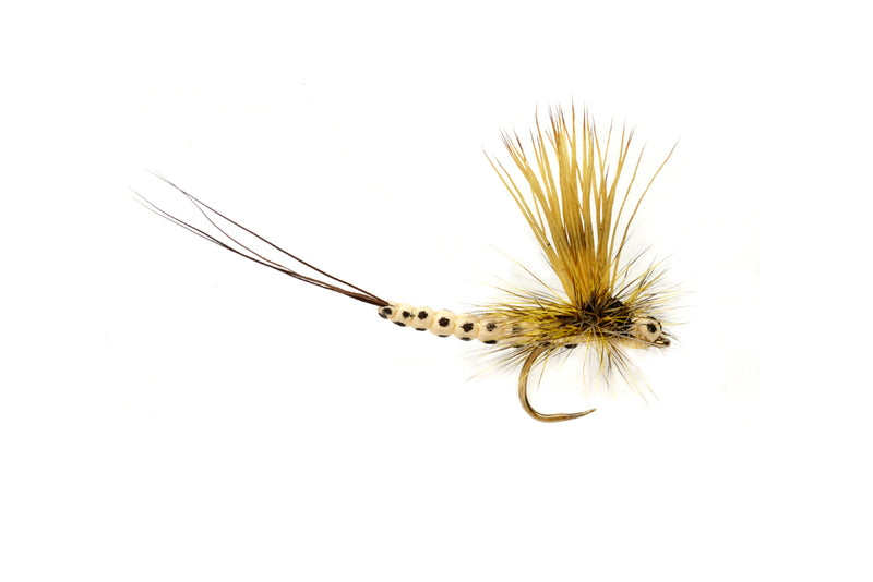 Fulling Mill OE Mohican Mayfly Small Male Barbless