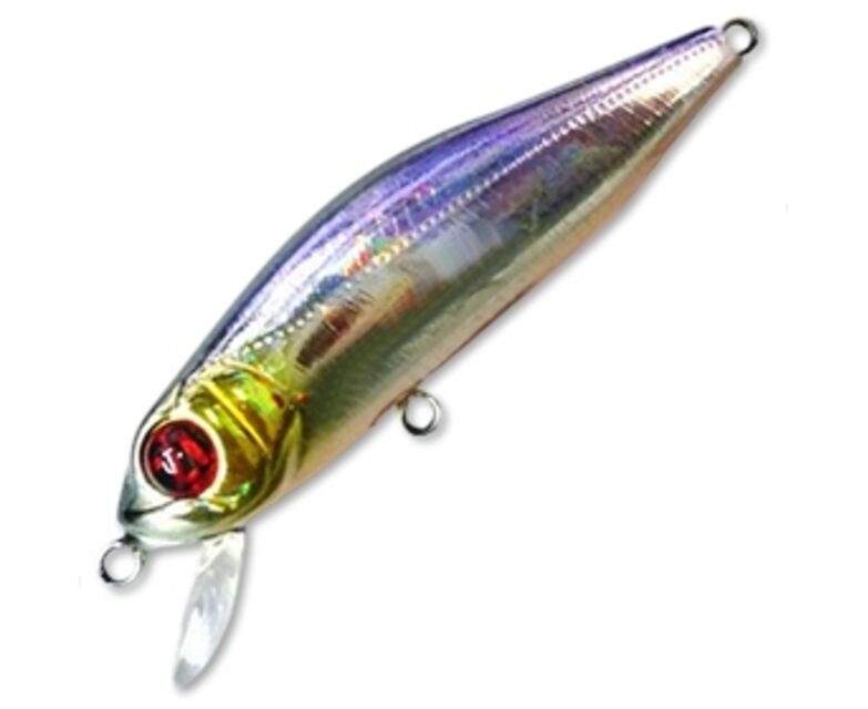 Pontoon 21 Crack Jack 78F-SR A12 BV Back OB RE