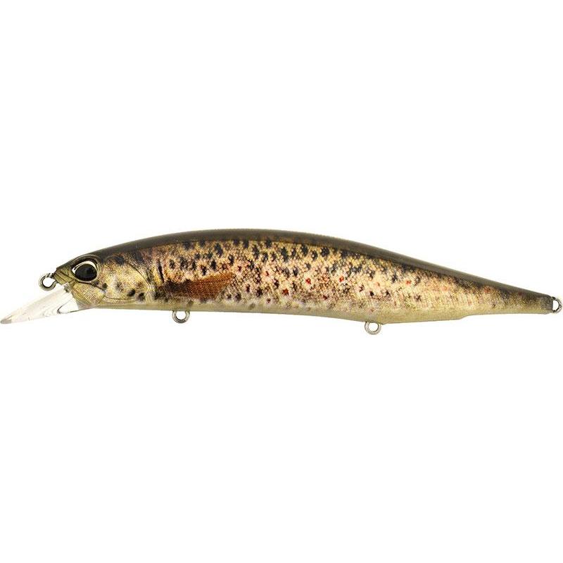 Duo Realis Jerkbait 120SP Pike CCC3815 Brown Trout ND