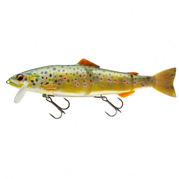 Daiwa Prorex Hybrid Trout 23cm Live Brown Trout