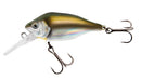Fox Rage Funk Bug 5cm DR UV Real Shiner
