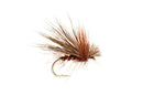 Fulling Mill Chocolate Drop Sedge