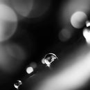 Grangers Wash And Repel Clothing 300ml