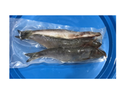 DeadBait Frozen Herring