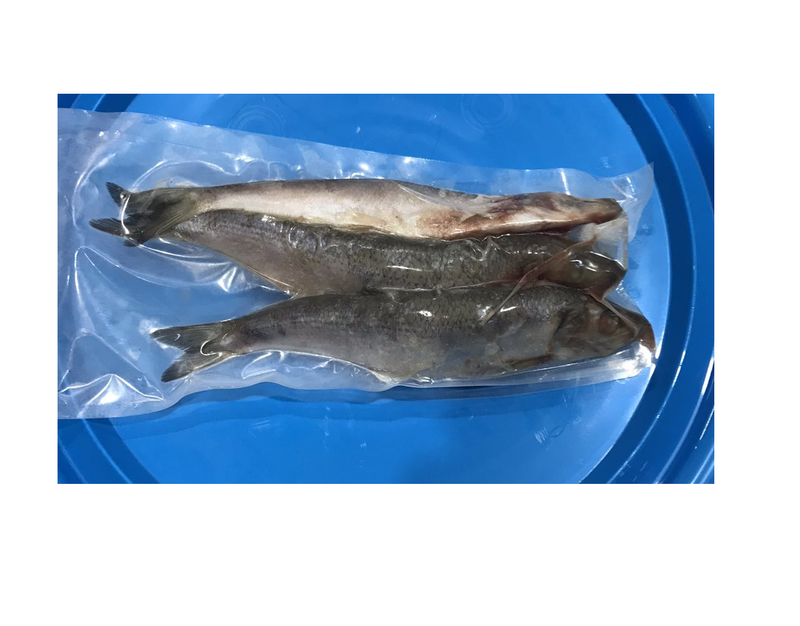 DeadBait Frozen Herring - Main Image