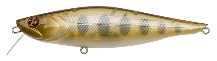 Pontoon 21 Kalikana Dun 105F-SR 351