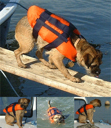 Marine Pool Dog Life Jacket