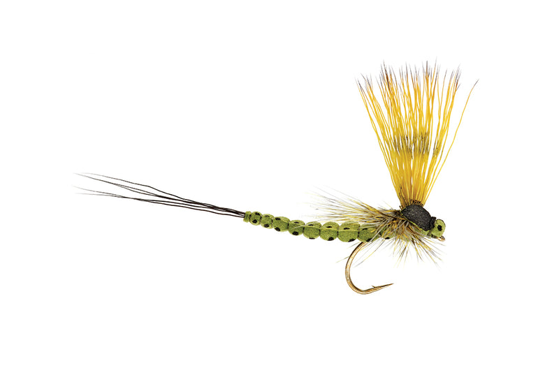 Fulling Mill Mohican Mayfly Olive