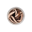 Berkley PowerBait Power Honey Worm Grey Pearl