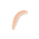 Berkley PowerBait Power Honey Worm Orange Pearl