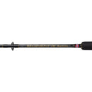 Penn Regiment III Boat Rod