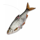 Quantum Mr. Pike Ghost Traces Float Rig white 50cm 1pcs