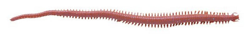 Berkley Gulp! Ragworm Sandworm 6'' Dark Brown