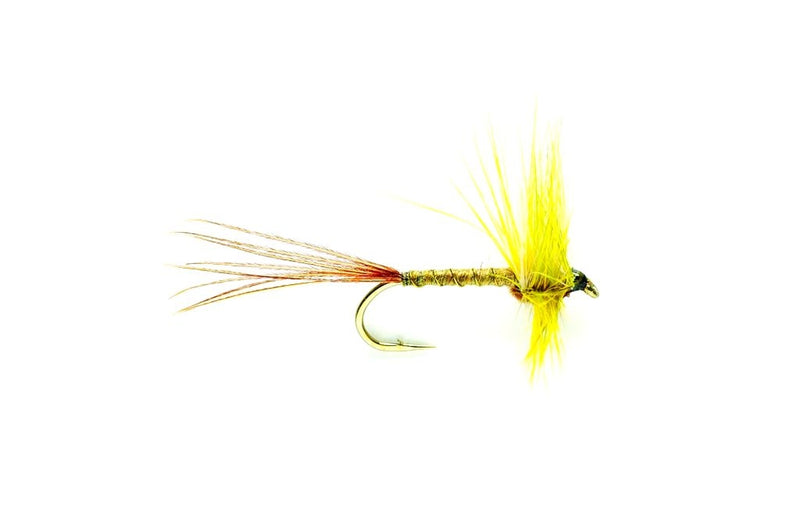 Fulling Mill Mosely Mayfly