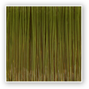 Zebco Trophy Pike Fishing Line