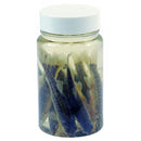 DeadBait Jar Minnows