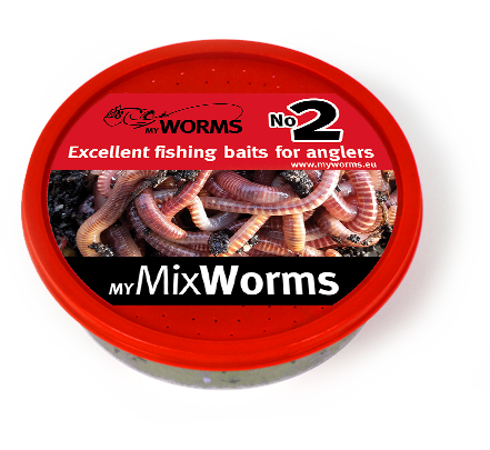 Feeder Fishing Worms