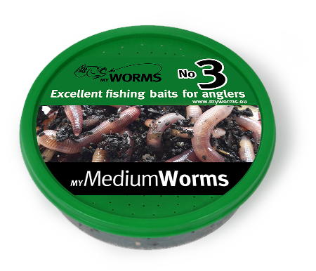 Fishing Worms medium