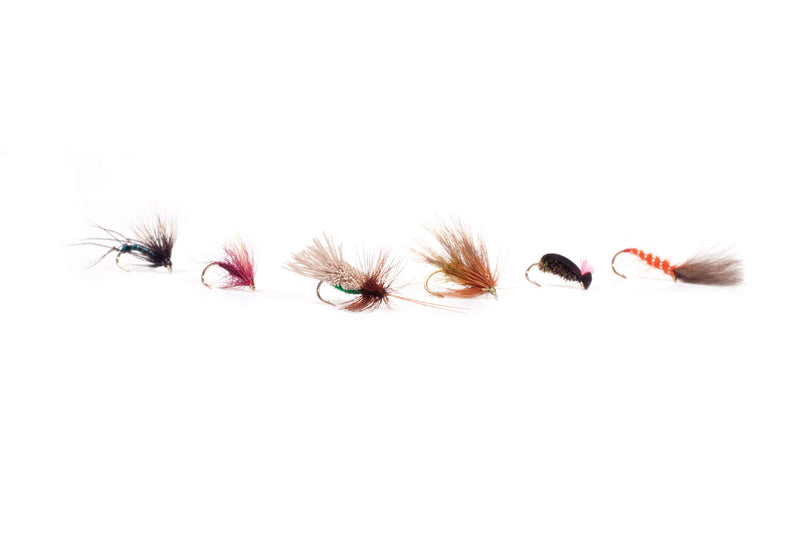 Craig's Dry Fly Selection Pack of 6