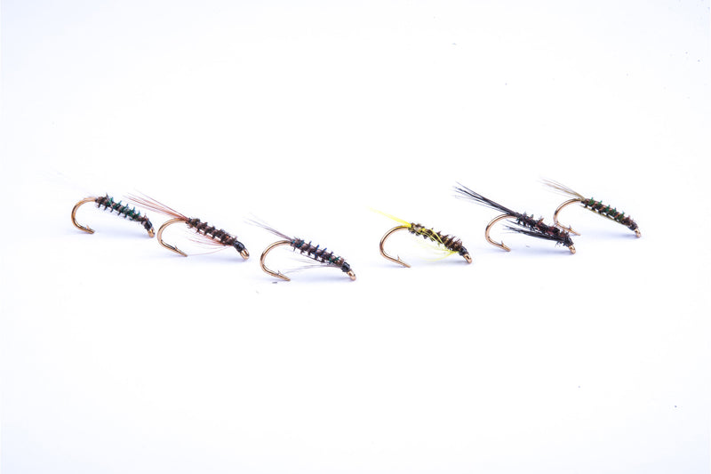 Craig's Quill Diawl Bachs Pack of 6