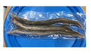 DeadBait Frozen Lamprey