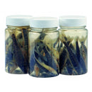 DeadBait Jar Minnows