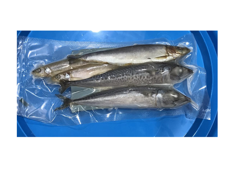 Pike Fishing Bait Frozen Pike Bait Near Me Large Eel Heads Perfect