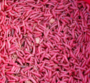 Maggots Mix/Red/White 0.5pint