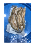 DeadBait Frozen Smelt